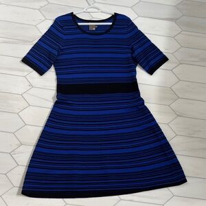 Taylor Blue and Black Striped Dress